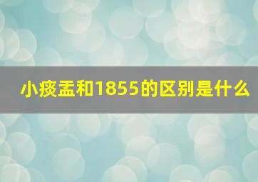 小痰盂和1855的区别是什么