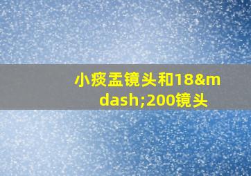 小痰盂镜头和18—200镜头