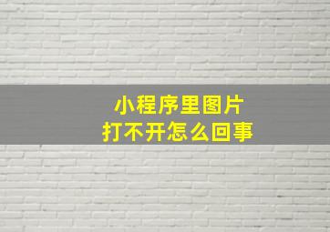 小程序里图片打不开怎么回事