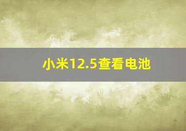 小米12.5查看电池