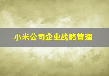 小米公司企业战略管理