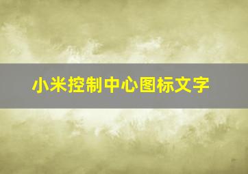 小米控制中心图标文字