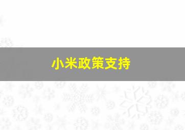 小米政策支持