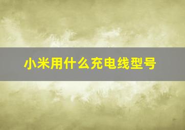 小米用什么充电线型号