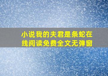 小说我的夫君是条蛇在线阅读免费全文无弹窗