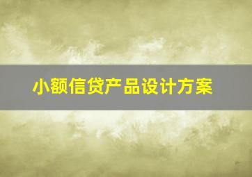 小额信贷产品设计方案