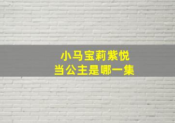 小马宝莉紫悦当公主是哪一集