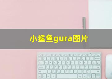 小鲨鱼gura图片