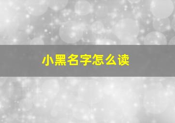 小黑名字怎么读