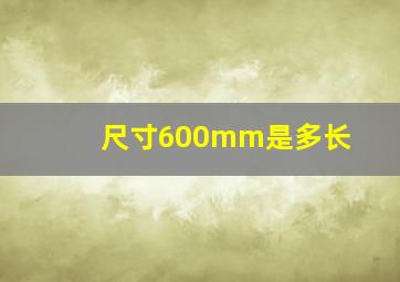 尺寸600mm是多长