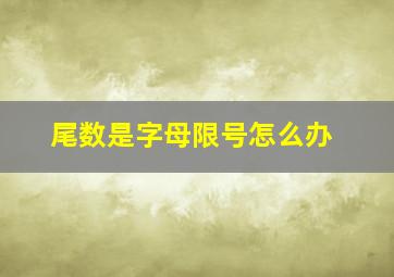 尾数是字母限号怎么办