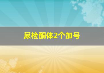 尿检酮体2个加号