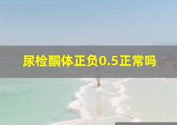 尿检酮体正负0.5正常吗