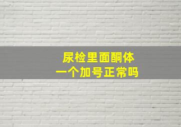 尿检里面酮体一个加号正常吗