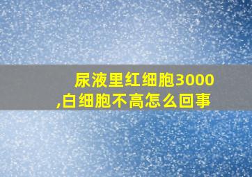 尿液里红细胞3000,白细胞不高怎么回事