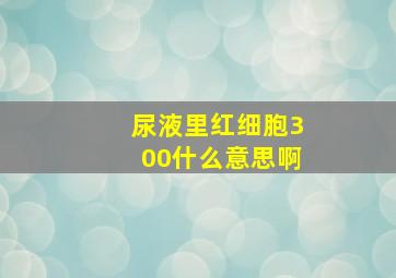 尿液里红细胞300什么意思啊