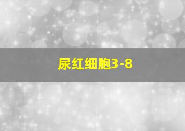 尿红细胞3-8