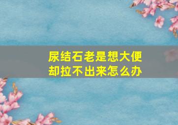 尿结石老是想大便却拉不出来怎么办