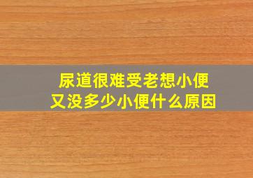 尿道很难受老想小便又没多少小便什么原因