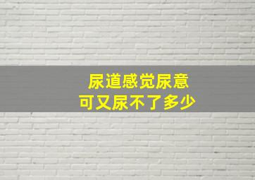 尿道感觉尿意可又尿不了多少