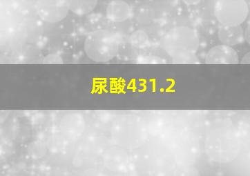 尿酸431.2