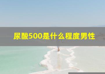 尿酸500是什么程度男性