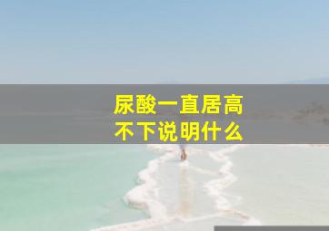 尿酸一直居高不下说明什么