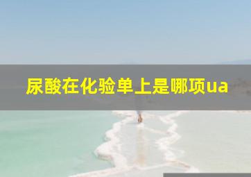 尿酸在化验单上是哪项ua