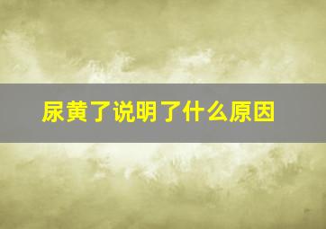 尿黄了说明了什么原因