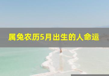 属兔农历5月出生的人命运