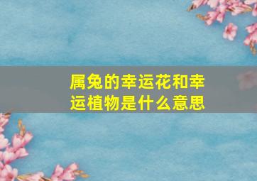 属兔的幸运花和幸运植物是什么意思