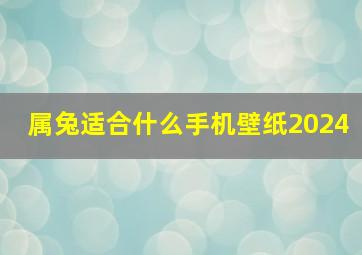 属兔适合什么手机壁纸2024