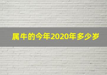 属牛的今年2020年多少岁