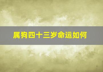 属狗四十三岁命运如何