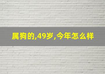 属狗的,49岁,今年怎么样