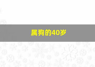 属狗的40岁