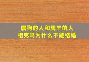 属狗的人和属羊的人相克吗为什么不能结婚