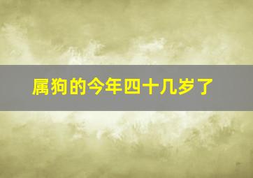 属狗的今年四十几岁了