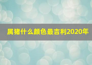 属猪什么颜色最吉利2020年