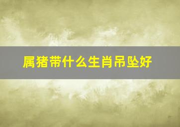 属猪带什么生肖吊坠好