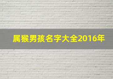 属猴男孩名字大全2016年