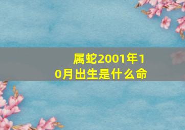 属蛇2001年10月出生是什么命