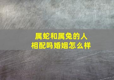 属蛇和属兔的人相配吗婚姻怎么样