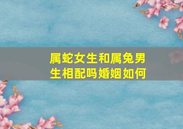 属蛇女生和属兔男生相配吗婚姻如何