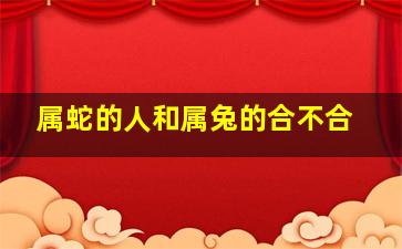 属蛇的人和属兔的合不合