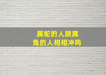 属蛇的人跟属兔的人相相冲吗