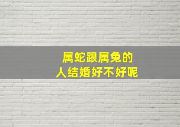 属蛇跟属兔的人结婚好不好呢