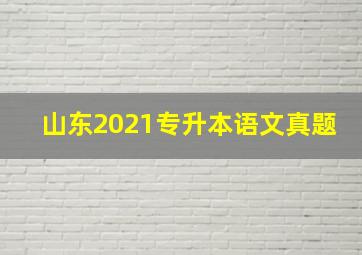 山东2021专升本语文真题