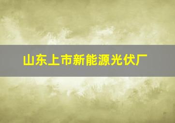 山东上市新能源光伏厂