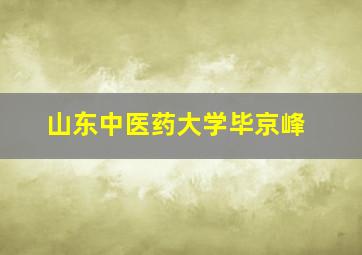 山东中医药大学毕京峰